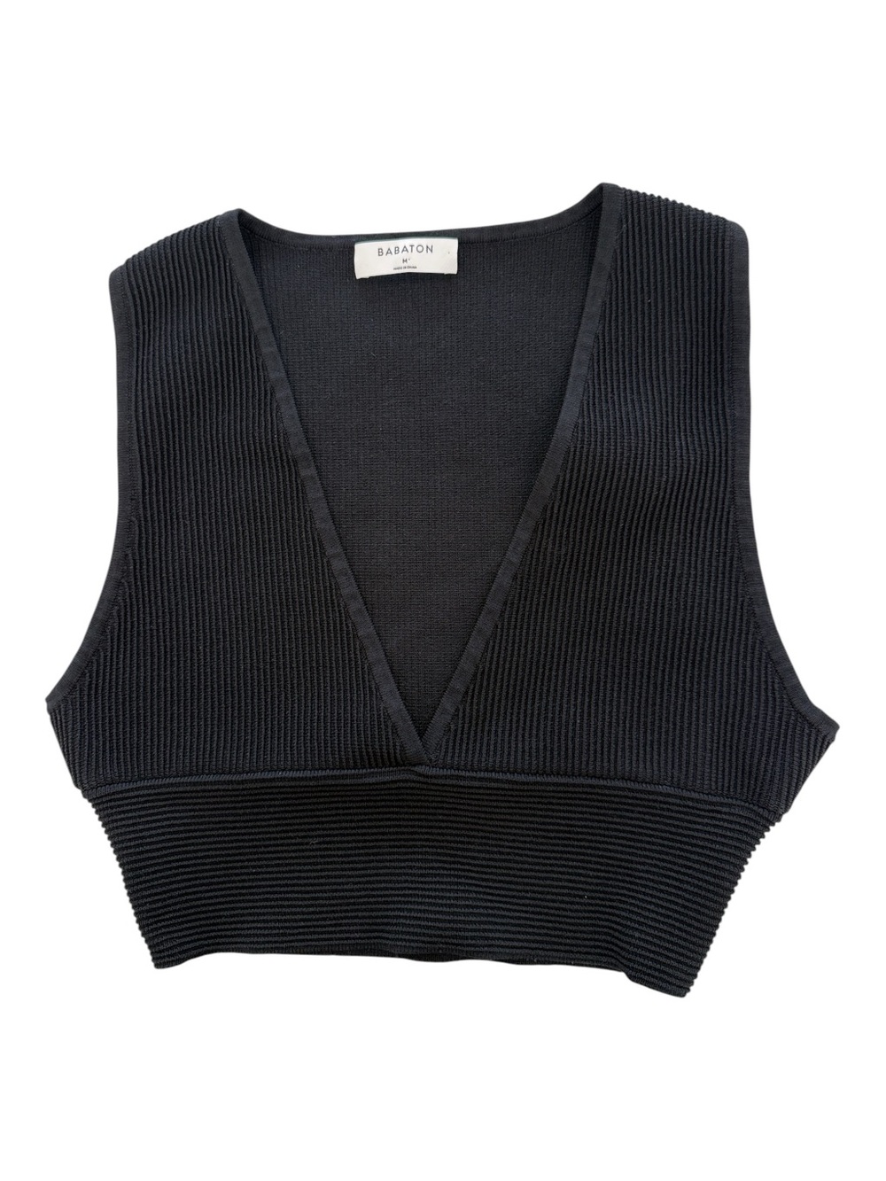 Aritzia Baboon Black Ribbed V-Neck Cropped Tank